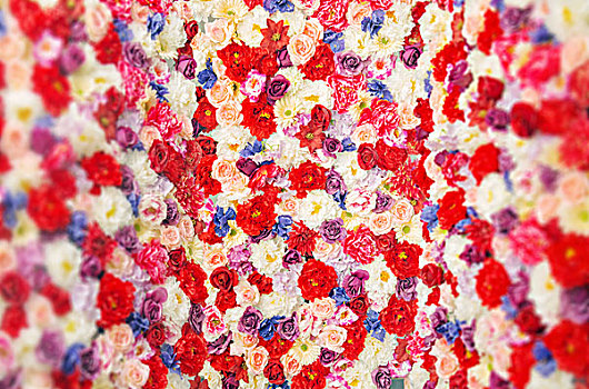 地毯,彩色,花,植物