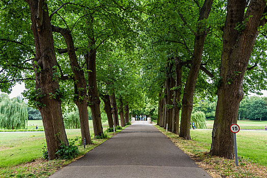 剑桥大学