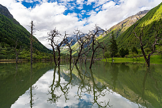 四姑娘山