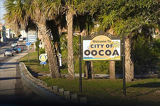 信息牌,正面,棕榈树,可可,佛罗里达,美国