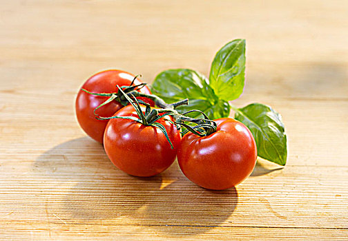 西红柿,罗勒,木质背景