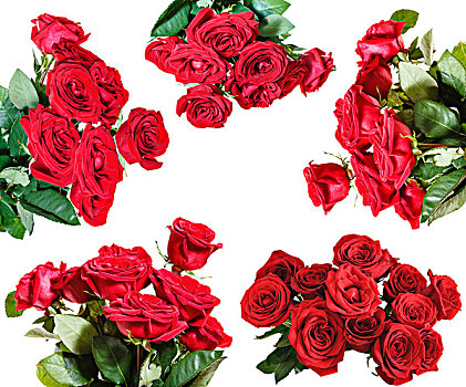 红玫瑰,花束,隔绝,白色背景