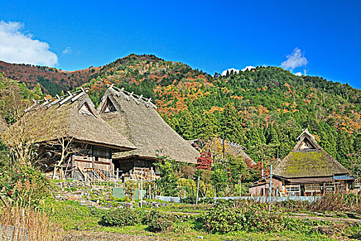 乡村,房子,茅草屋顶,秋天