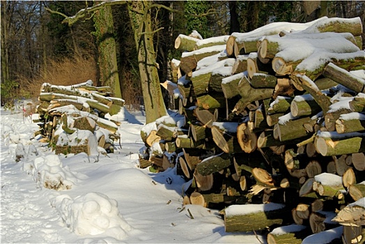 冬天,一堆,木头