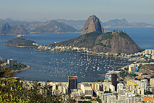 城市,甜面包山,科尔科瓦多,里约热内卢,巴西,南美