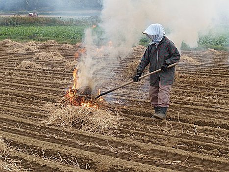 控制,燃烧