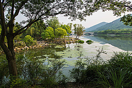 长广溪湿地公园夕照