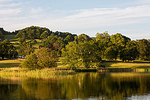 平和,水,湖,反射,绿色,树,草地,湖区,坎布里亚,英格兰
