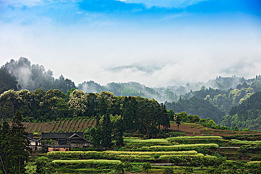 农村风景