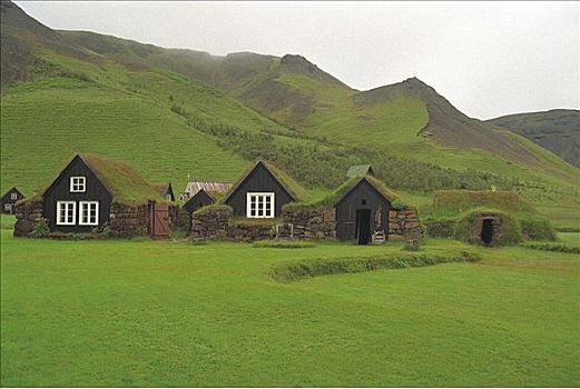 房子,屋顶,遮盖,草,户外,博物馆,冰岛,欧洲