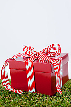 红色,礼盒,青草,白色背景