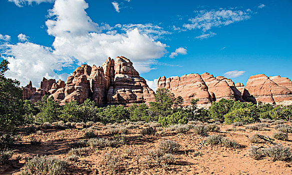 顶峰,岩石构造,针,地区,峡谷地国家公园,犹他,美国,北美