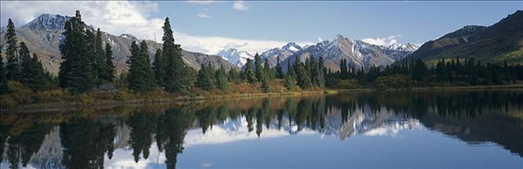 北方针叶林,围绕,湖,德纳利国家公园和自然保护区,阿拉斯加
