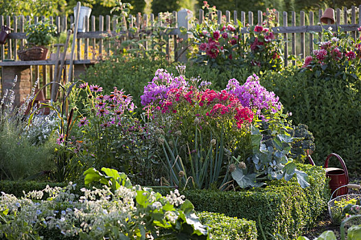 别墅花园,多年生植物,蔬菜,盒子,树篱