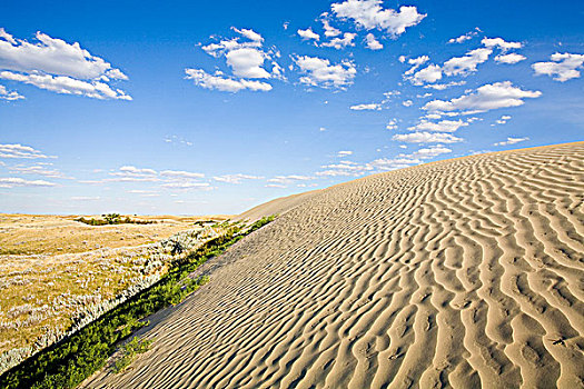 沙丘,沙子,山,生态,自然保护区,靠近,权杖,萨斯喀彻温,加拿大