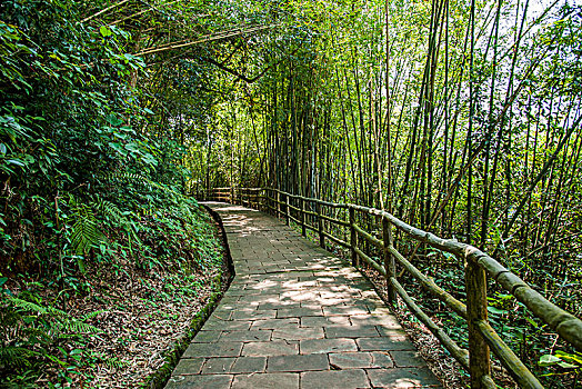 广东韶关丹霞山中国红石公园锦石岩寺院小路