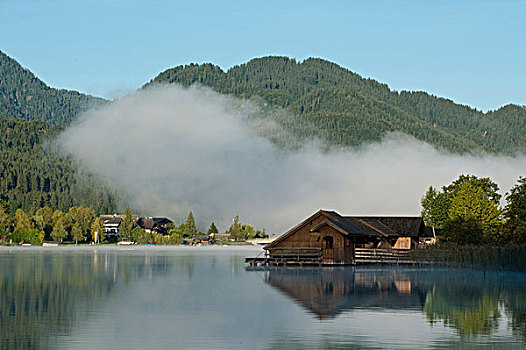 早晨,雾气,湖,卡林西亚,奥地利,欧洲