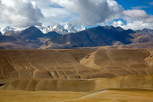 西藏阿里普兰