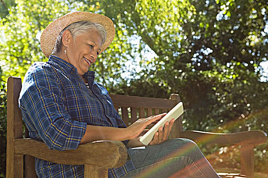 老年,女人,读,书本,花园