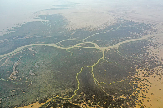 航拍山东东营黄河入海口湿地风光