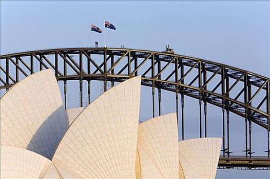 新南威尔士,悉尼,白色,拱形,屋顶,悉尼歌剧院,后背,海港大桥