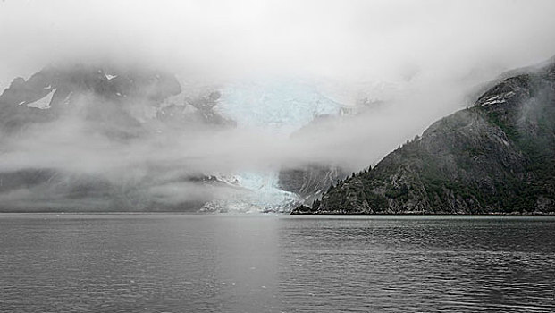 冰河,湾,水,雾状,夏天,早晨