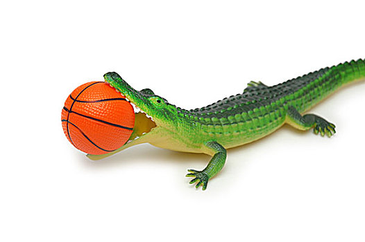 鳄鱼,篮球,隔绝,白色背景
