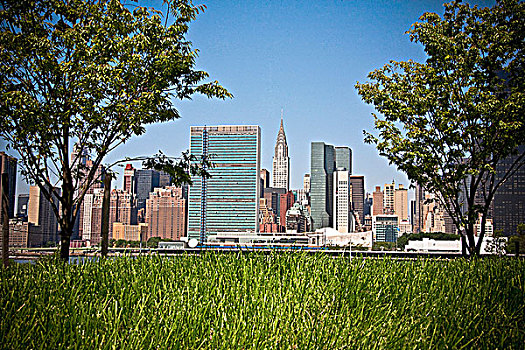 草,公园,曼哈顿,天际线,背景,纽约,美国