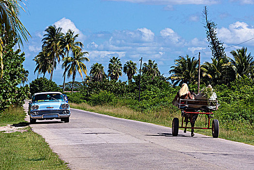 古巴,巴拉德罗,半岛,道路交通