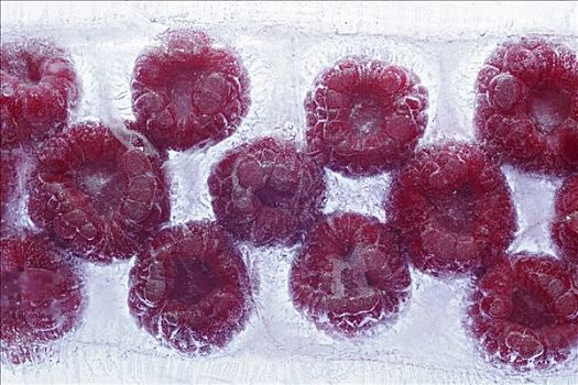 树莓,冰冻,冰块,特写