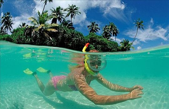 潜水,棕榈树,海滩,马尔代夫,印度洋,环礁