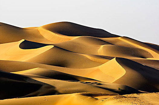 沙丘,沙漠,阿布扎比,阿联酋,中东,亚洲
