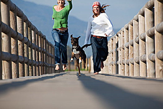 两个女人,跑,狗