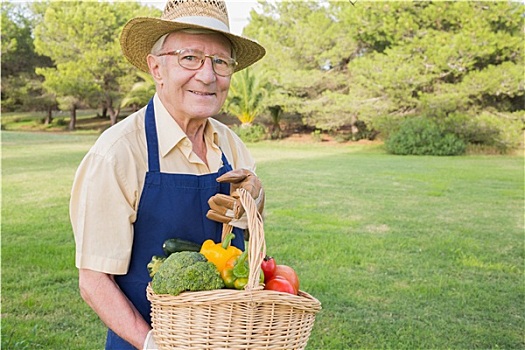 老人,头像,篮子,自产,蔬菜,花园