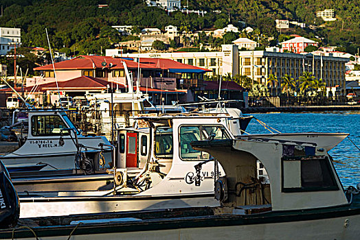维京群岛,夏洛特阿马利亚,渔船