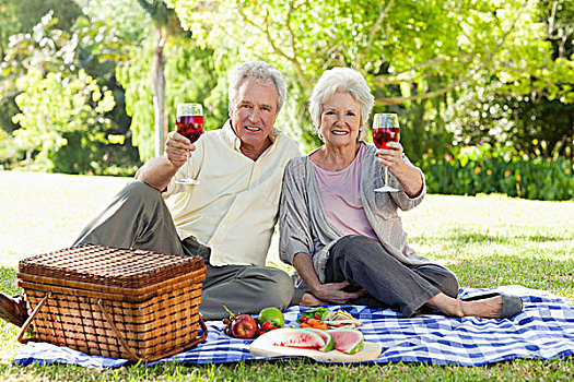 伴侣,祝酒,葡萄酒杯,野餐