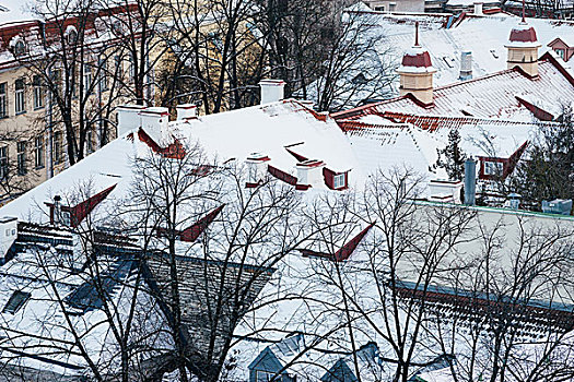特写,场景,远眺,雪,屋顶,老城,冬天,塔林,爱沙尼亚