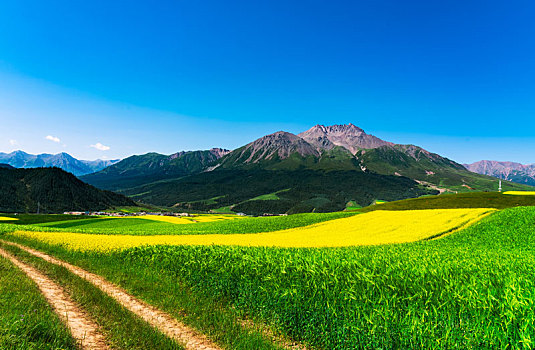 青海省祁连县卓尔山景区牛心山自然风光