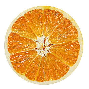 一个橙子完整切面