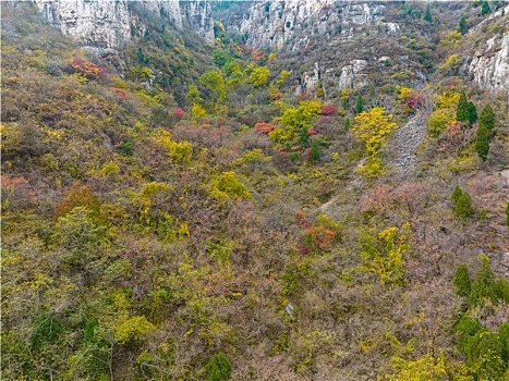 济南南部山区的秋天