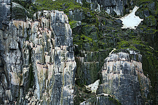 斯匹次卑尔根岛,斯瓦尔巴特群岛,高耸,侏罗纪,白垩纪,展示,腐蚀,鸟