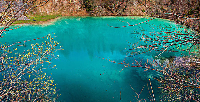 漂亮,蓝色,高山湖,石灰石,开采,看,靠近,国家公园,哈尔茨山,德国