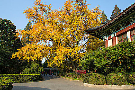 南京师范大学