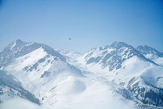 冬季草原雪山