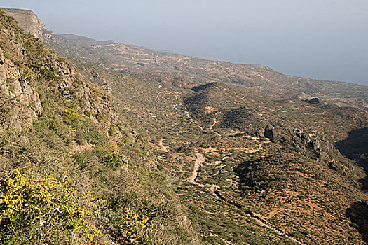 悬崖,雾林,道路,保护区,也门