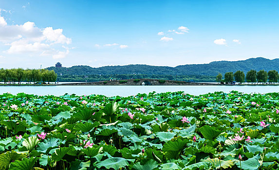 杭州西湖风光和现代建筑景观