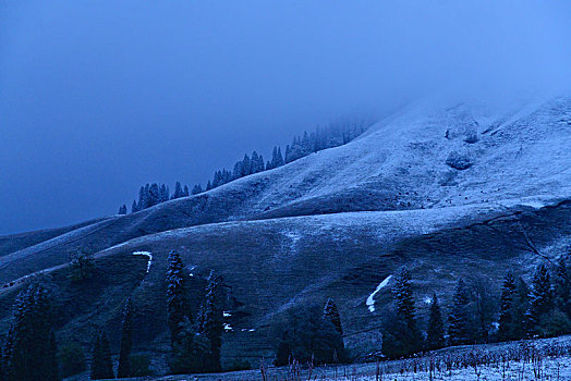 那拉提牧场雪景