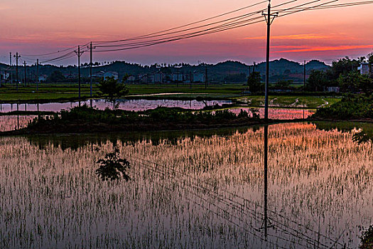 夕阳下的天野