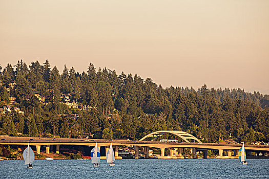 帆船,湖,华盛顿,岛屿,远景,美国