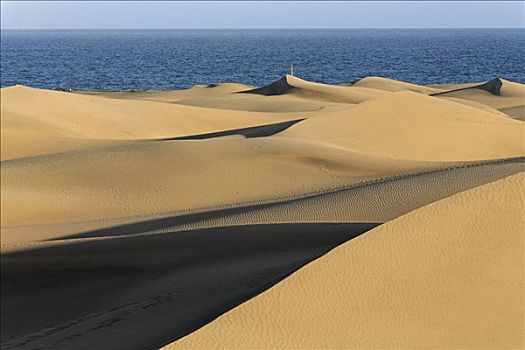 沙丘,大卡纳利岛,西班牙